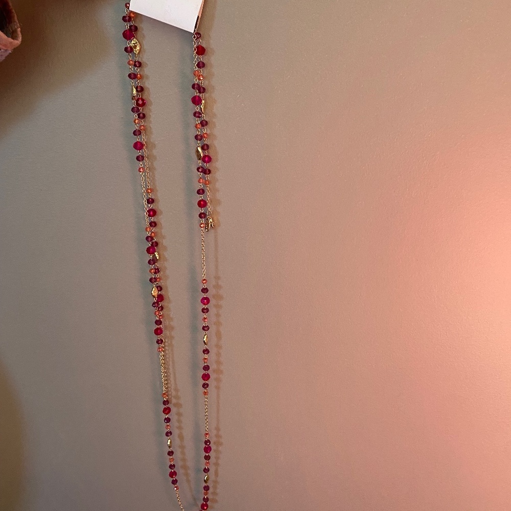 Style&Co long  Necklace